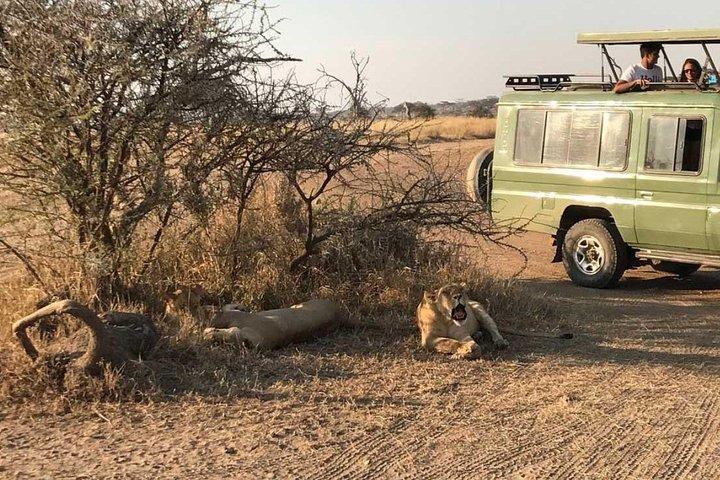 2 Days Africa Safari