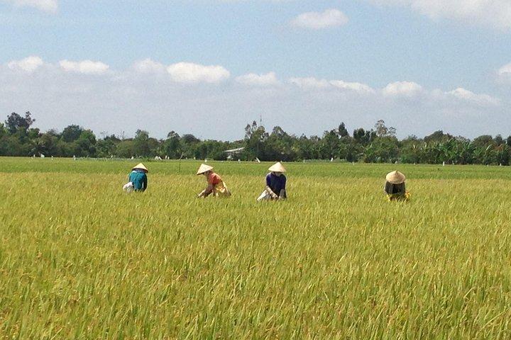 Private Authentic Mekong River Full Day Trip - Non Touristic Mekong delta