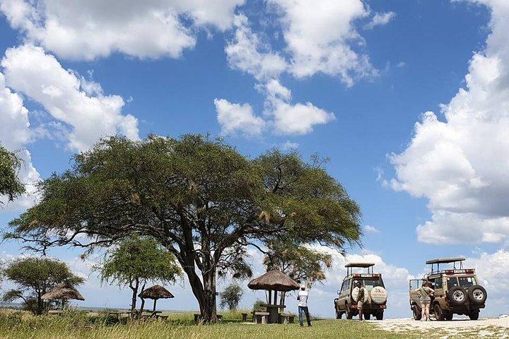 3 Days Tanzania Lodge Safari