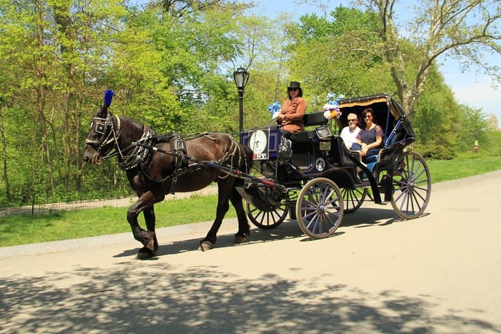 Official NYC Horse Carriage Rides in Central Park since 1979 ™