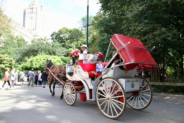 Official NYC Horse Carriage Rides in Central Park since 1979 ™