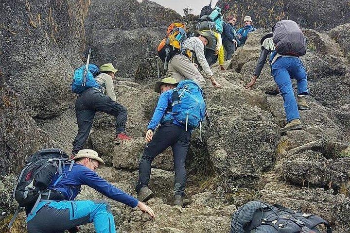 8 Days Lemosho Route Climbing