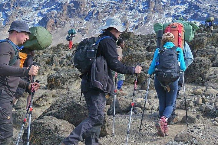 6 Days Machame Route Hike
