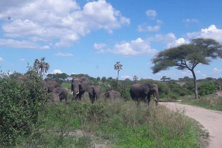 5 Days African Safaris