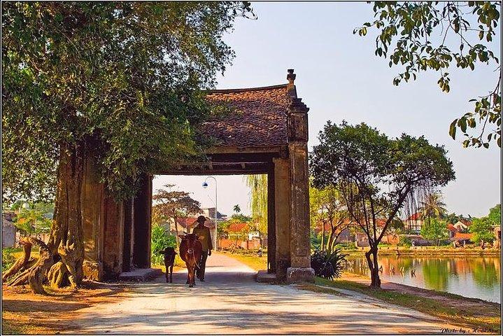 Duong Lam Ancient Village full day tour from Hanoi & experiencing local life