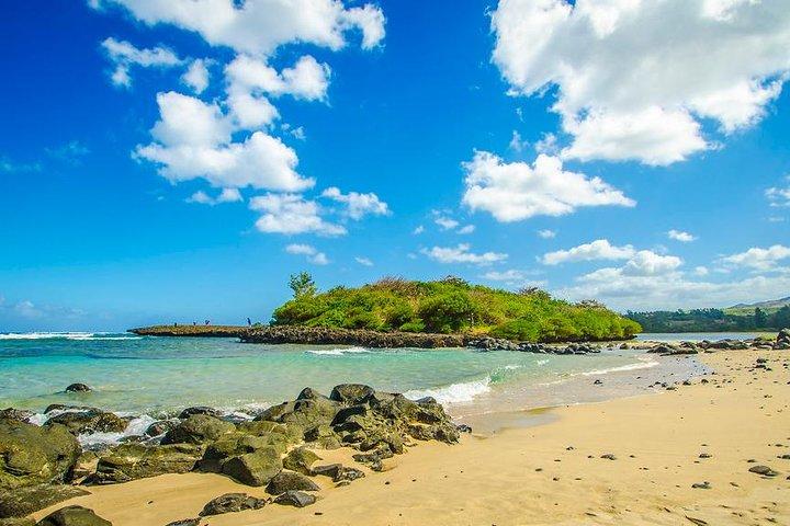 Tropical South-West: Full-day All Inclusive tour (Visit 3 parks)