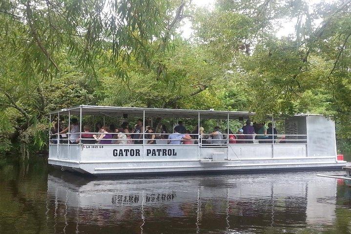 New Orleans Swamp Boat Tour with Shuttle Service