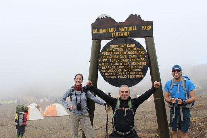 Day trip in Kilimanjaro National Park