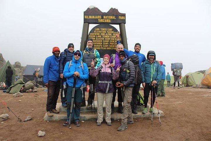 8-Day Private Kilimanjaro Climb via Lemosho Route from Arusha