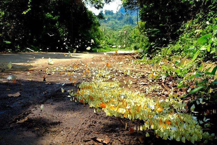 Ninh Binh 2-Day Private Tour: All Highlights of the Heritage Site