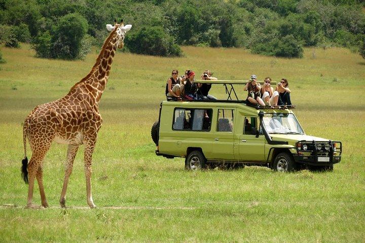 Masai Mara Transfer From Nairobi on 4 X 4 Toyota Land-Cruiser - Daily Departures
