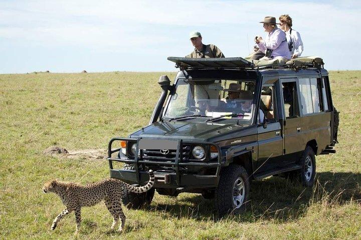 Masai Mara Transfer From Nairobi on 4 X 4 Toyota Land-Cruiser - Daily Departures