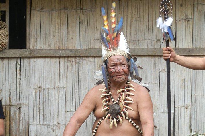 One day tours in the Jungle - Puyo | Night Tours in Baños | On a day of adventure