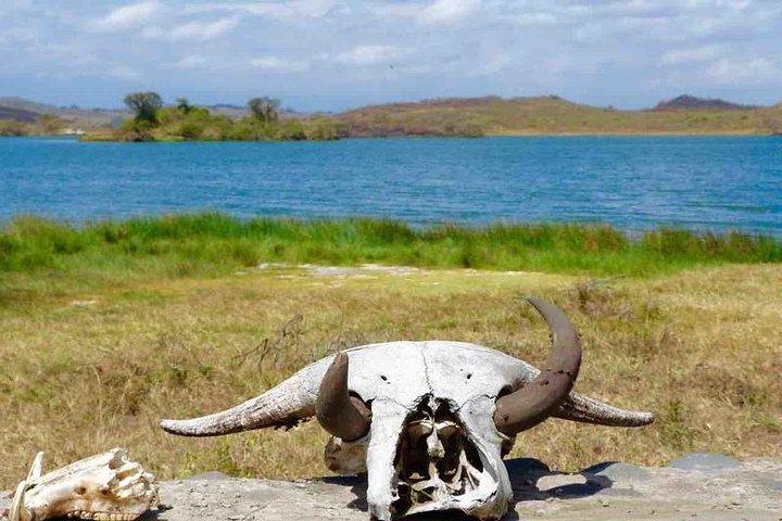 Arusha National Park Day Trip
