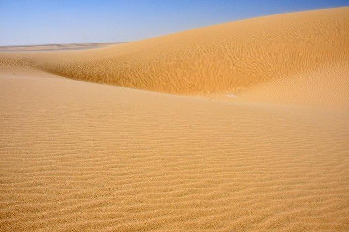 2 Days and 1 Night: Fayyom Oasis, Wadi El-Hitan & Wadi El-Rayyan