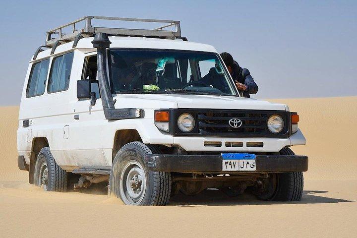 2 Days and 1 Night: Fayyom Oasis, Wadi El-Hitan & Wadi El-Rayyan