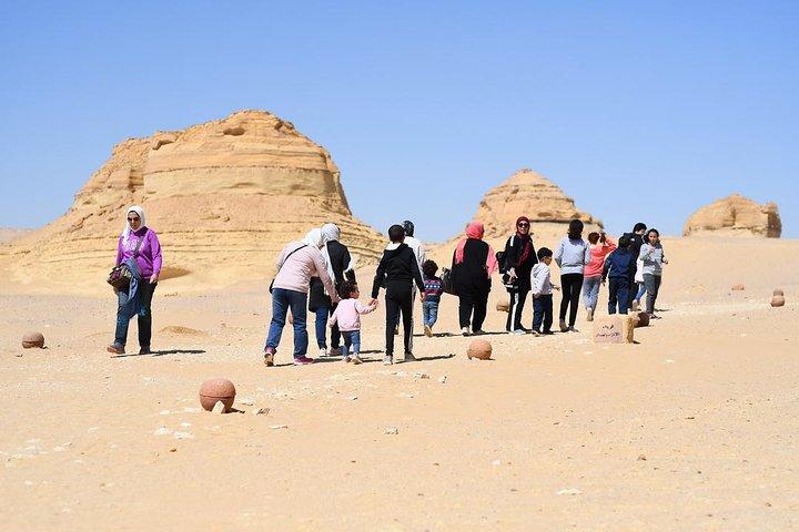 2 Days and 1 Night: Fayyom Oasis, Wadi El-Hitan & Wadi El-Rayyan