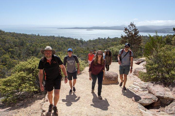Launceston to Hobart via Wineglass Bay - Active Tour