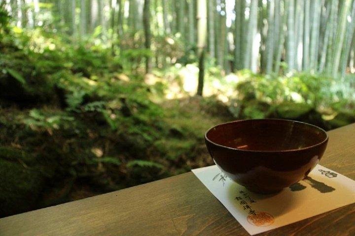 Kamakura Bamboo Forest and Great Buddha Private Tour