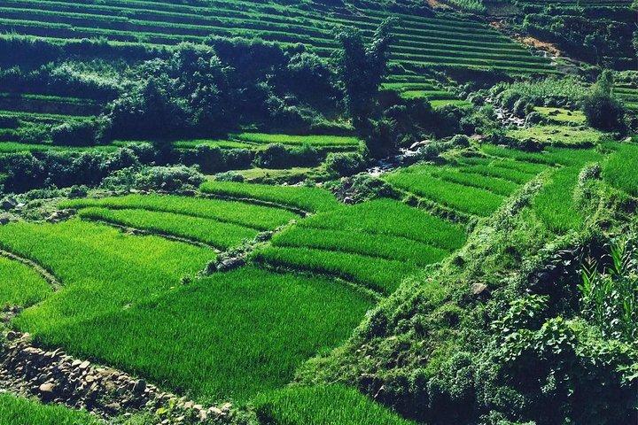 2-Days Overnight Sapa Trekking Tour by Bus from Hanoi