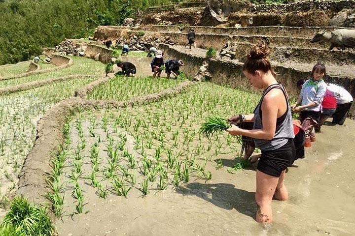 3 Days SAPA Real Experience at Local People House