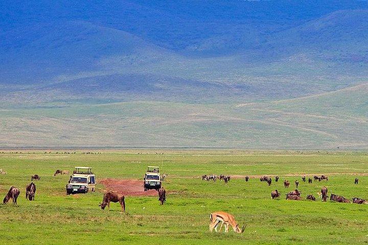 Ngorongoro Crater Exclusive: A Journey into Africa’s Eden