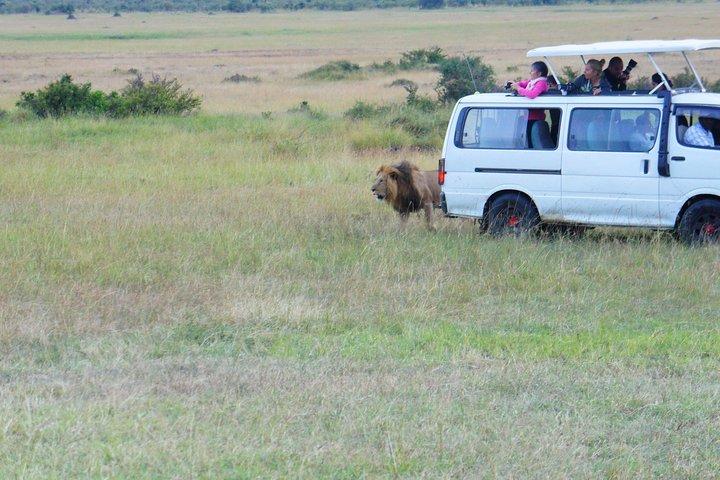 6 Days private safari package Kenya
