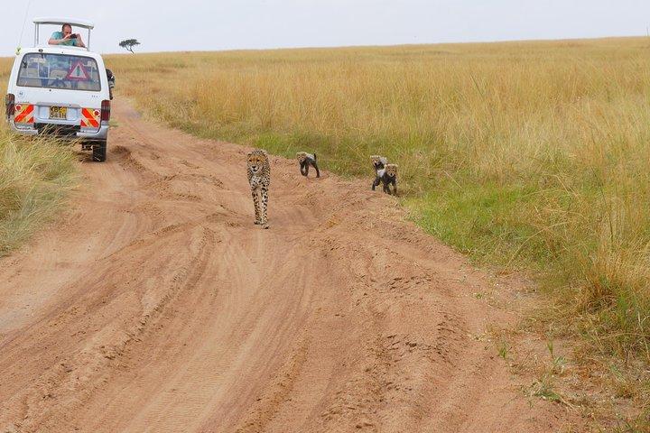 6 Days private safari package Kenya