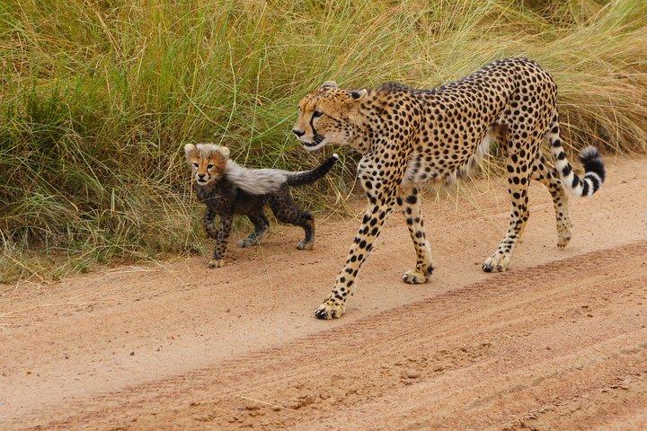 6 Days private safari package Kenya