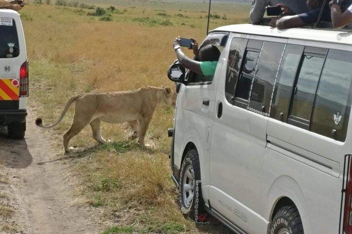 Overnight Tsavo East National Park Safari from Mombasa OR Diani Beach