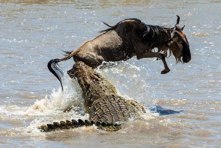 Private 5 Day Aberdare Lake Nakuru and Masai Mara Safari from Nairobi
