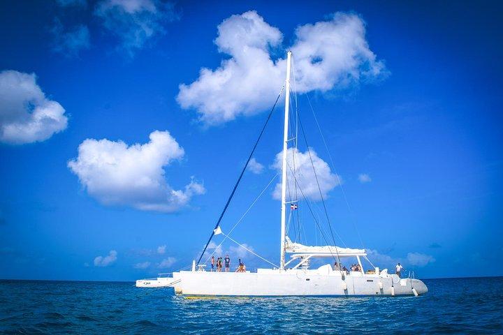 Full-Day Excursion in Saona Island