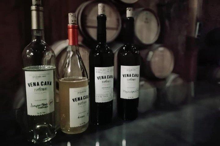 Tourist guide in the Wine Country (Valle de Guadalupe) Ensenada