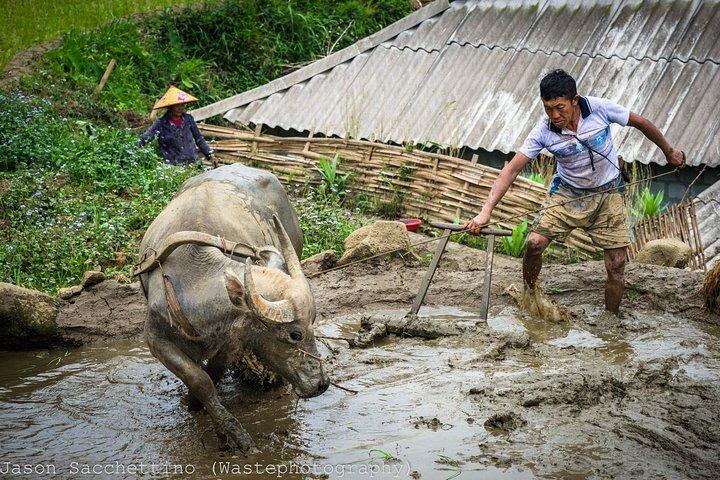 Daily Experience Authentic TaPhin Valley &Traditional Herbal bath
