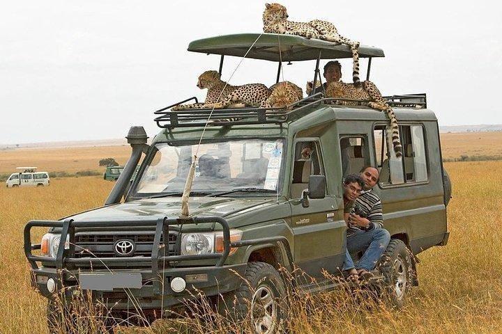 10-Days Explore Kenya Wildlife Private Safari