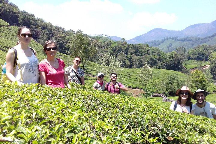 Full day in hiking in Munnar (By Munnar Info)