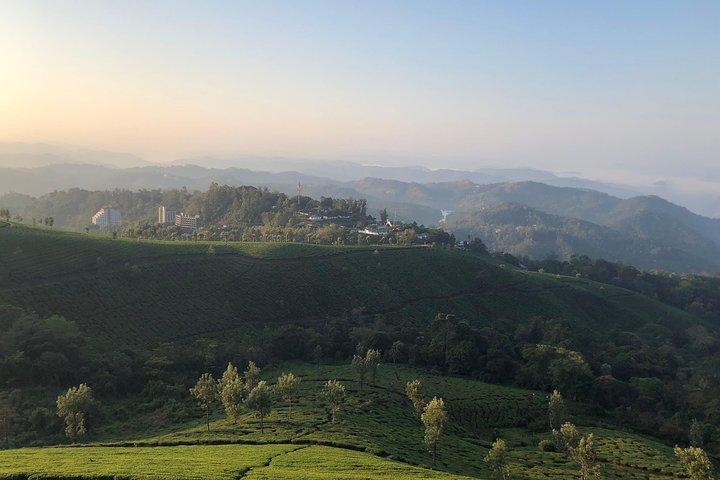 Full day in hiking in Munnar (By Munnar Info)