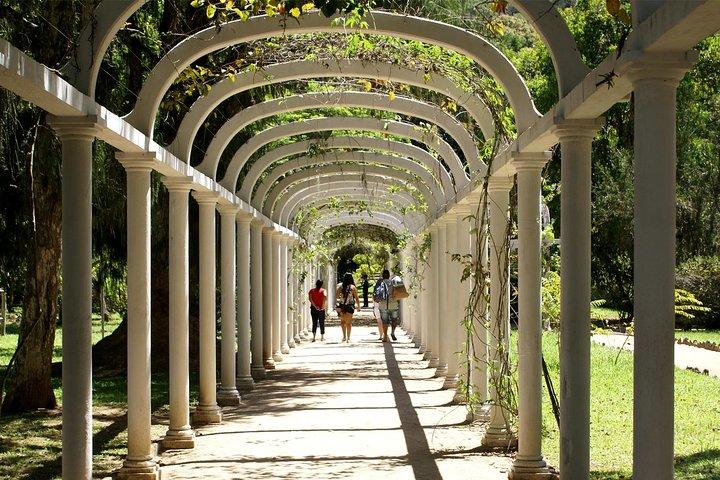 Rio de Janeiro Botanical Garden Tour