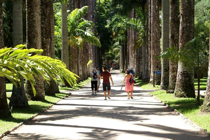 Rio de Janeiro Botanical Garden Tour