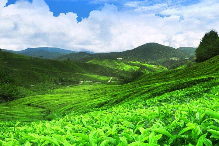 Kandy Nuwaraeliya 02 Days Tour From Colombo or Negombo
