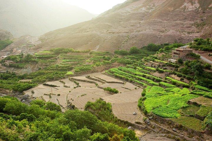 Atlas Mountains Day Trip with Camel Ride (Imlil)