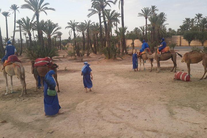 Dromedary ride in La Palmeraie