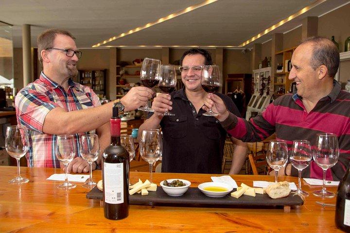 Private Tour: Viña del Mar and Valparaíso Tour with Wine Tasting in Casablanca Valley