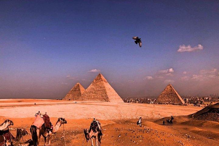 Half day Great Pyramids and Sphinx
