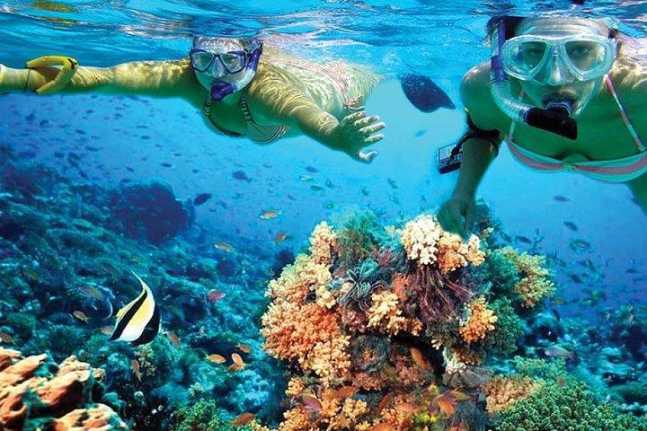 Discover Isla Mujeres in Catamaran. Buffet, Open Bar and Snorkel