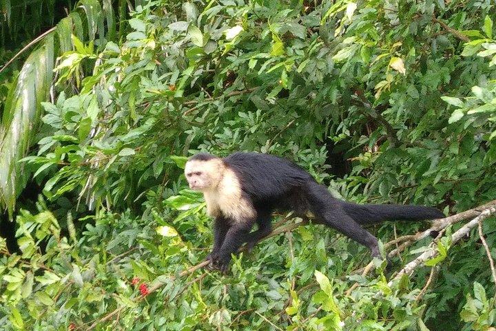 Panama Canal with entrance included and Gatun Lake Boat Tour