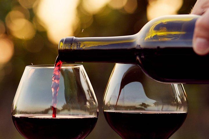 Evora Ancient City & The Alentejo Private Luxury Wine Tour