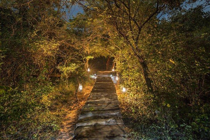 Private Leopard Nest Luxury Glamping Experience at Yala