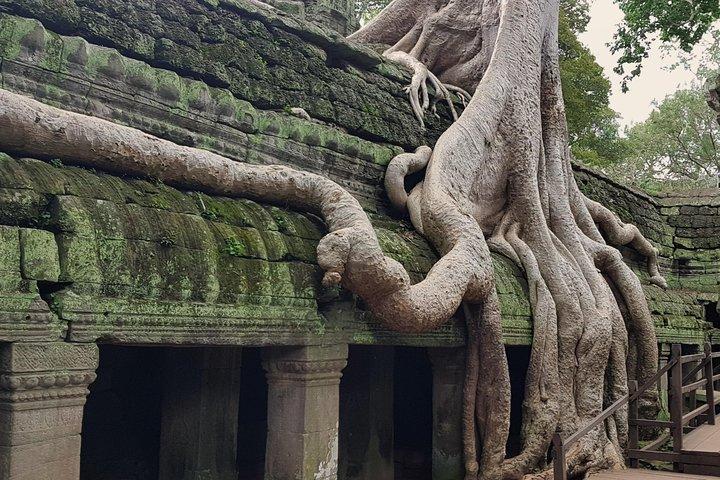Private 1Day tour: Angkor Small tour with Banteay srei or pink lady temple.