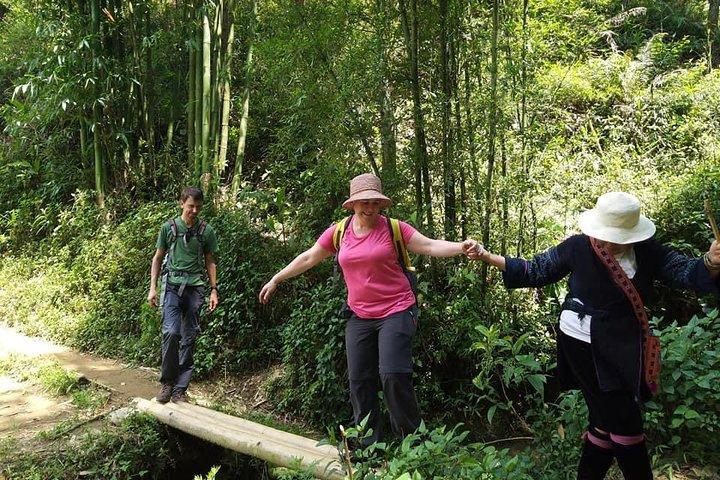 From Sapa: 2-Day Trek Through Authentic Villages in North - Sapa